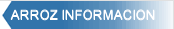 Arroz informaci&oacute;n