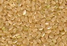 Grano de Arroz Yamaní integral