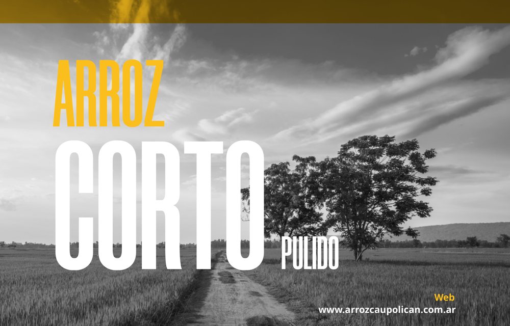Arroz Corto Pulido Caupolicán